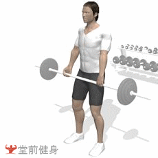 杠铃硬拉