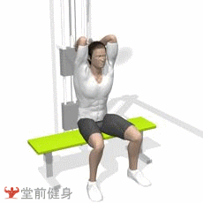上肢训练之坐姿拉力器臂屈伸
