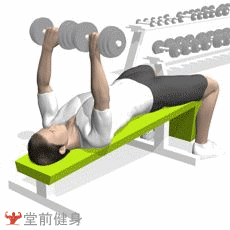 胸部 锻炼部位:下胸肌 协同锻炼:三角肌,肱三头肌 健身器材:哑铃 动作