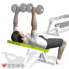 胸部训练之上斜哑铃卧推