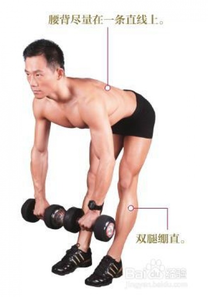男士健身房健身计划--背部肌肉