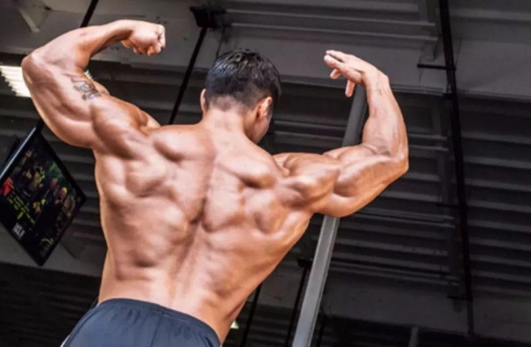 哪5个训练动作，可以让背部肌肉迅速提升？ 