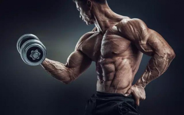 肌肉生长的细节你知道吗？ 