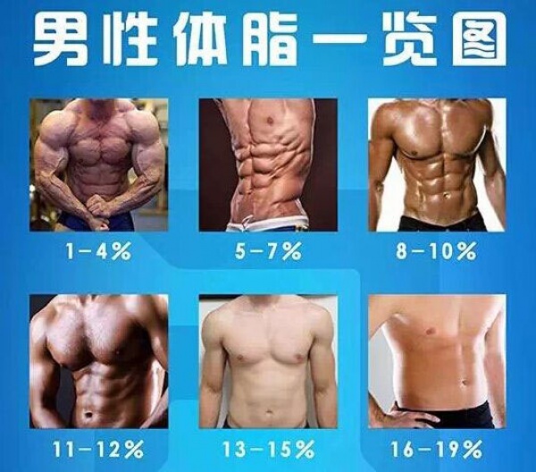 男性、女性体脂一览表