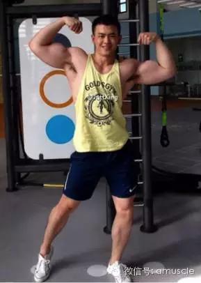 一个外胚型男人的健身之路(附健身计划)