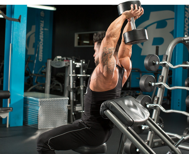 raise-the-bar-on-triceps-long-head-growth-MUSCLETECH-v2-2-640xh.jpg